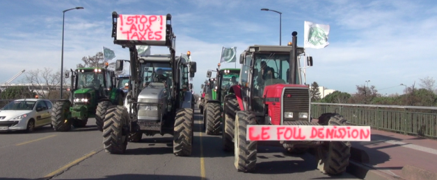 Des agriculteurs manifestent à Toulouse contre la « directive nitrate »