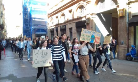 Une centaine de jeunes marchent pour le climat à Toulouse
