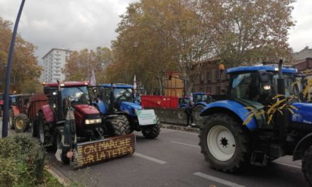 <strong>Toulouse : Nouvelle mobilisation des agriculteurs le 16 janvier</strong>