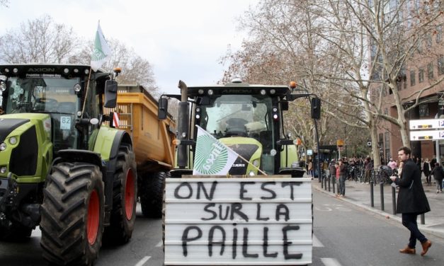 Inflation, normes européennes, accès à l’eau… À Toulouse les agriculteurs font entendre leur voix