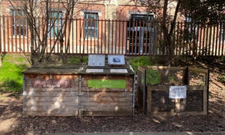 Compost obligatoire : la métropole toulousaine à la traîne
