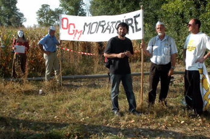 OGM : Dans le doute, abstiens-toi