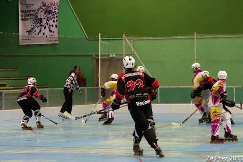 Toulouse capitale mondiale du roller hockey en 2014