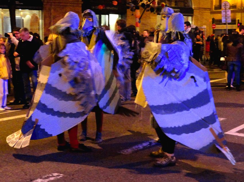 Conciliabule avant la suite de la parade pour de curieux oiseaux. / Photo J.T-B.