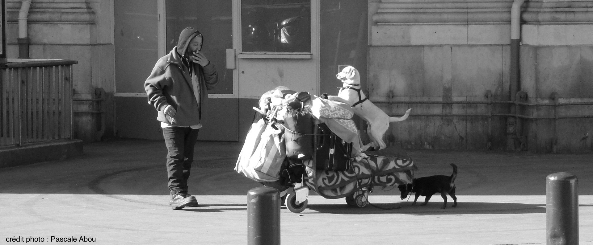 Les SDF de Toulouse se mobilisent pour un hébergement digne