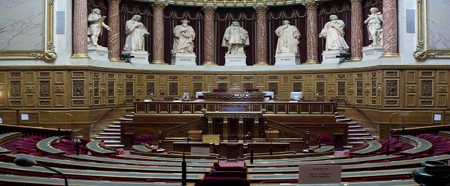 hemicycle_senat_france_1_.jpg