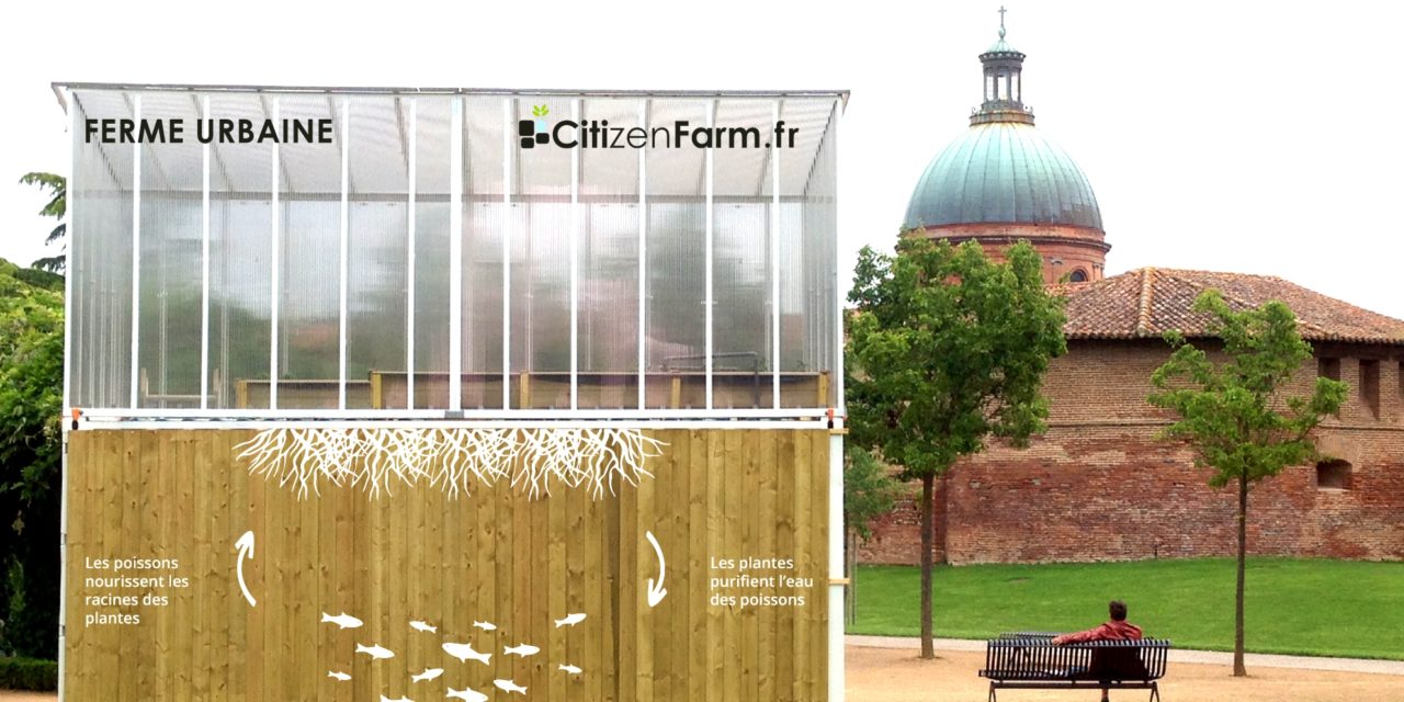 A Toulouse, la ferme s’invite en ville