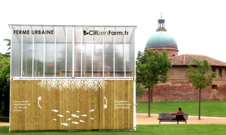 A Toulouse, la ferme s’invite en ville