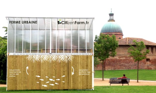 A Toulouse, la ferme s’invite en ville