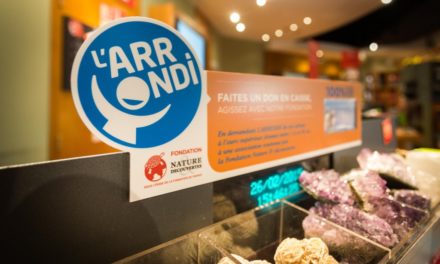 [VIDÉO] L’arrondi, le micro-don en magasin à Toulouse