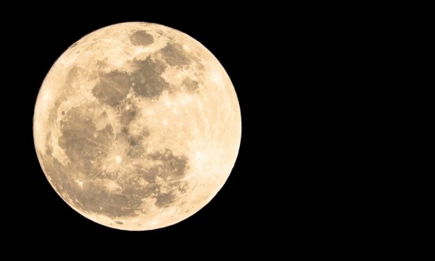 Levez les yeux ! La Super Lune est à Toulouse