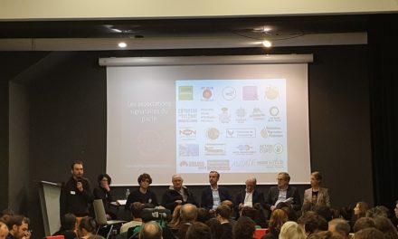 Toulouse. Les candidats passent leur Grand Oral écologique