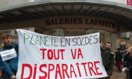 Toulouse. Les militants écologistes se mobilisent contre les soldes