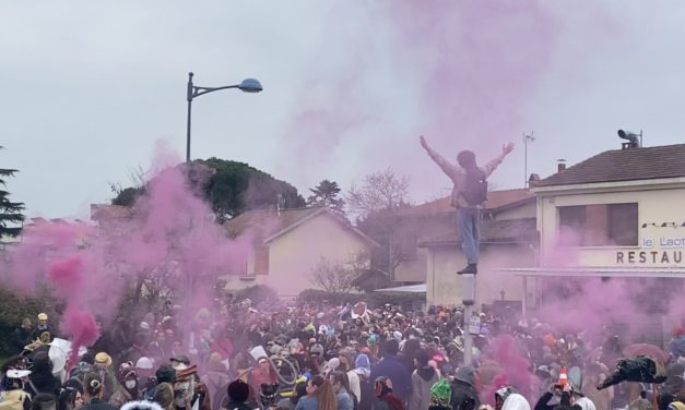 « Arrête ton char, ramène ton char!  » : Le carnaval sauvage de Toulouse