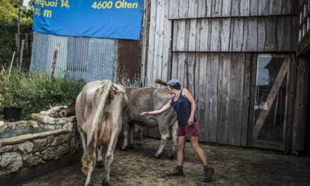 L’Ariège : Terre d’accueil et de savoir-faire méconnus