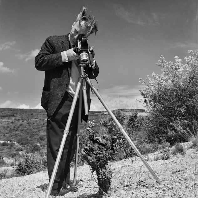 Exposition aux Jacobins : « Les photos de Dieuzaide sont un moyen de voir le monde autrement »