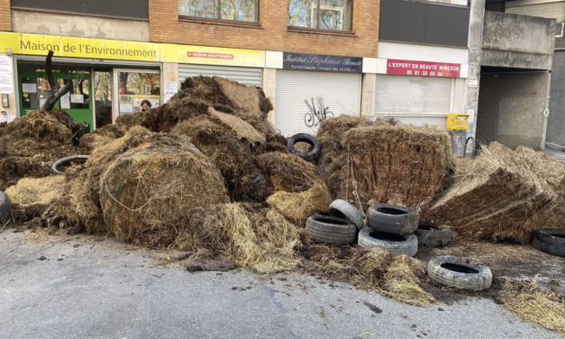 Manifestation des agriculteurs à Toulouse : “Si ça continue, il n’y aura plus d’exploitation agricole en Occitanie”