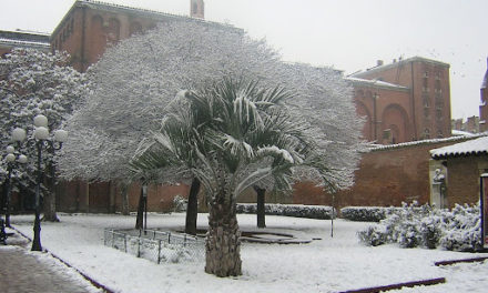 Vent et températures glaciales à Toulouse : pourquoi ce n’est pas une vague de froid 