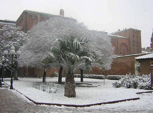 Vent et températures glaciales à Toulouse : pourquoi ce n’est pas une vague de froid 