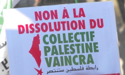 « Soutenir la Palestine n’est pas un crime » : le cri du cœur de la manifestation contre la dissolution d’un collectif toulousain