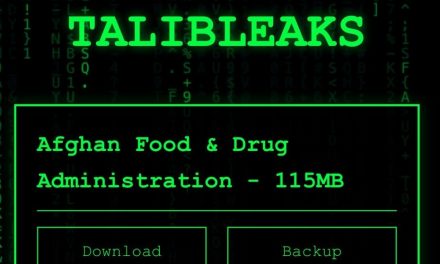TalibLeaks: 1 367 prisonniers sous le régime taliban en Afghanistan