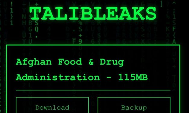 TalibLeaks: 1 367 prisonniers sous le régime taliban en Afghanistan
