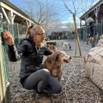 « C’est une lutte de chaque jour », le fragile équilibre financier du refuge municipal de Castelginest