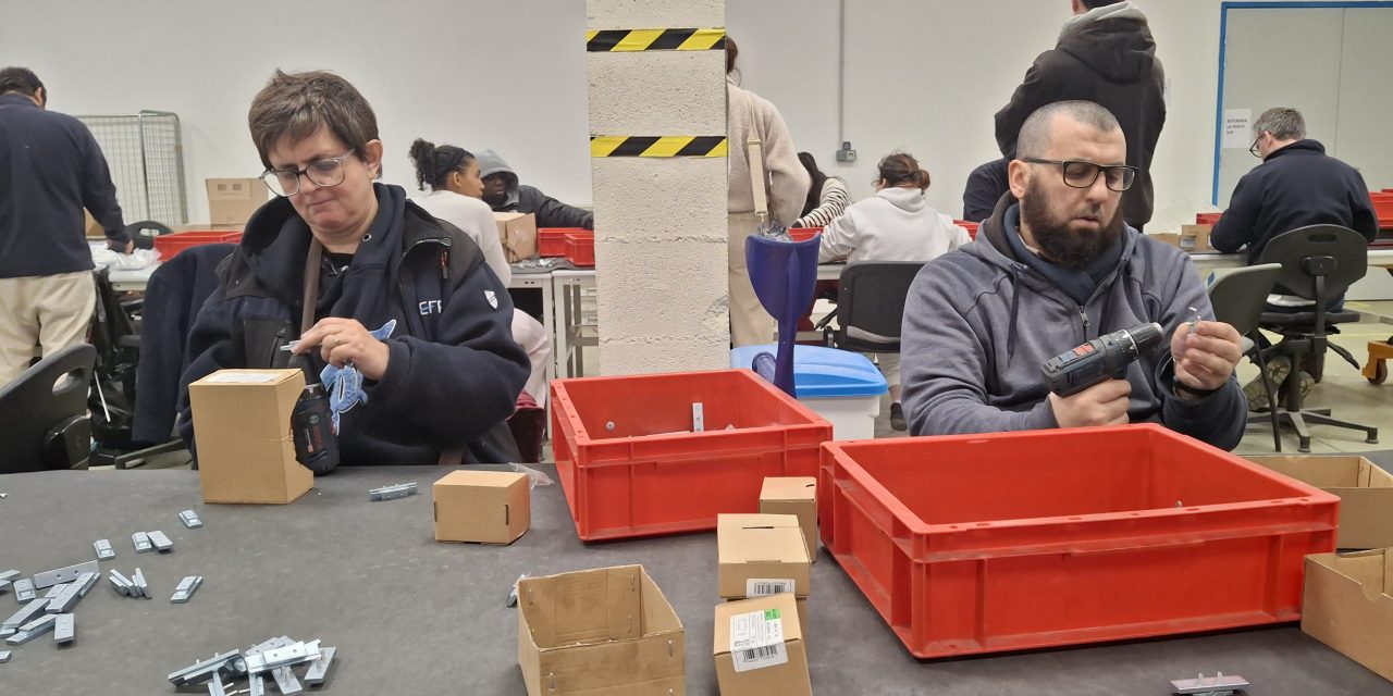 « Accompagner les personnes par le travail » : à Toulouse, une entreprise avec un petit truc en plus